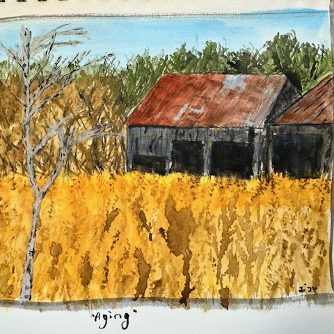 Decaying Barns are a great representation of how all things age.