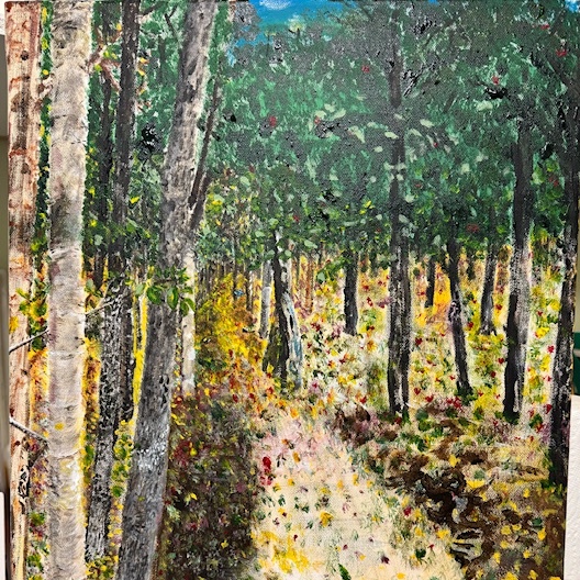 Hiking along trails like the one at Shirley's Bay in  Ottawa inspire some nice views.